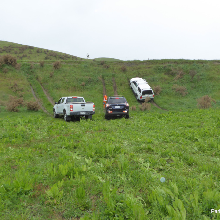 Three utes