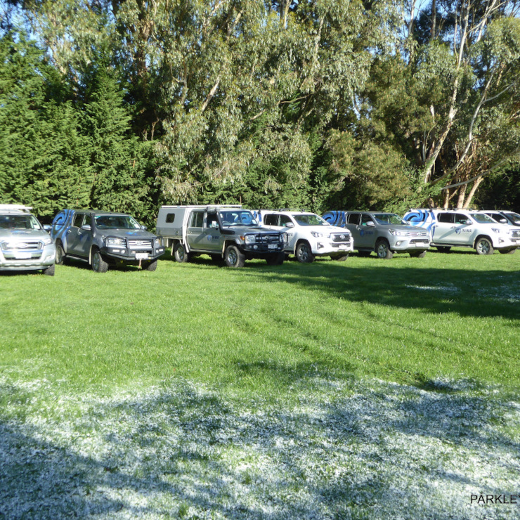 Utes line up in marshalling field